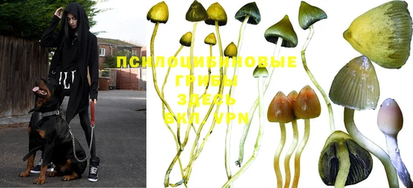 амф Лиски
