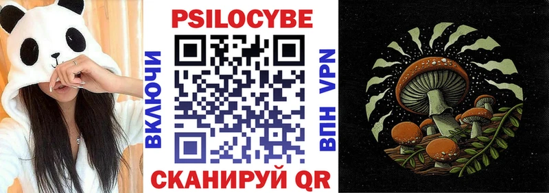 Псилоцибиновые грибы Psilocybe  наркошоп  Хасавюрт 